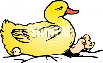 Bird Clipart