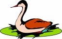 Bird Clipart