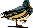 Bird Clipart