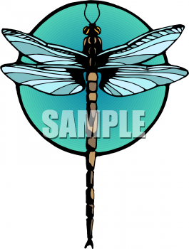 Royalty Free Dragonfly Clipart