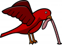 Bird Clipart