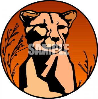 Lion Clipart