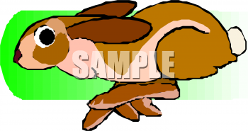 Rabbit Clipart