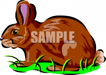 Rabbit Clipart