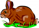 Rabbit Clipart