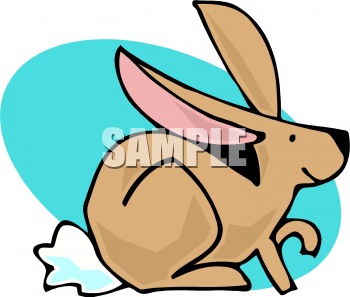 Rabbit Clipart