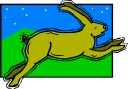 Rabbit Clipart