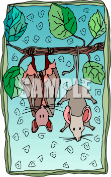 Mouse Clipart