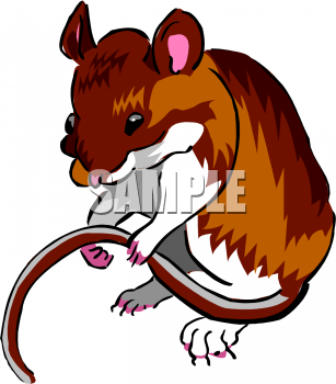 Mouse Clipart