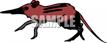 Mouse Clipart