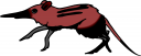 Mouse Clipart