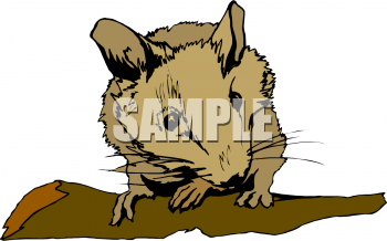 Mouse Clipart