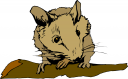 Mouse Clipart