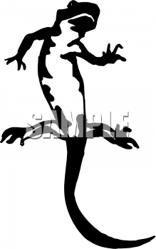 Lizard Clipart