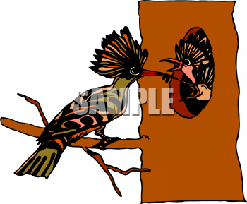 Bird Clipart