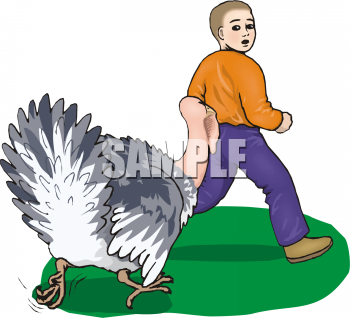 Bird Clipart