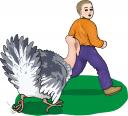 Bird Clipart