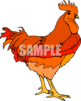 Bird Clipart