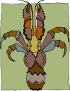 Lobster Clipart