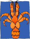 Lobster Clipart