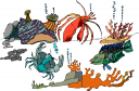 Lobster Clipart