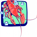 Lobster Clipart