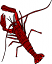 Lobster Clipart