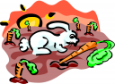 Rabbit Clipart