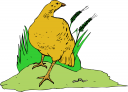 Bird Clipart