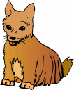 Pet Clipart