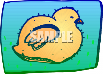 Bird Clipart