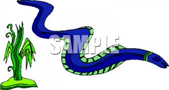 Eel Clipart