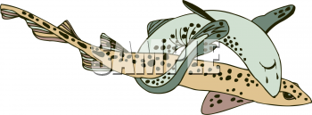 Eel Clipart