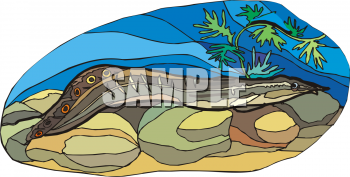 Eel Clipart