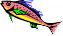 Salmon Clipart