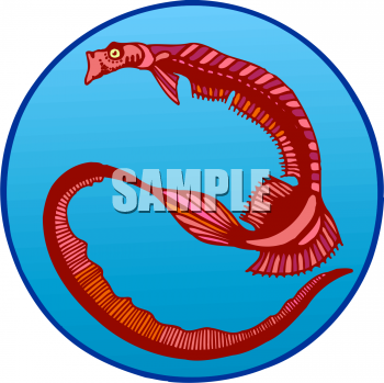 Eel Clipart