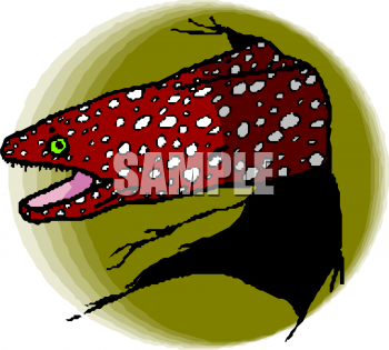 Eel Clipart