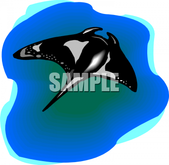 Stingray Clipart