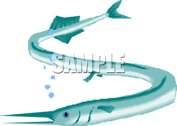 Eel Clipart