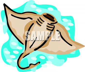 Stingray Clipart