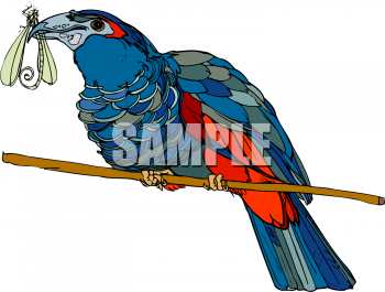 Bird Clipart