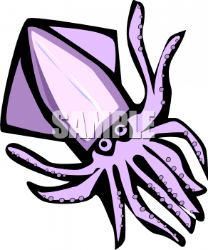 Squid Clipart