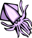 Squid Clipart