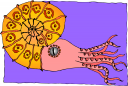 Squid Clipart