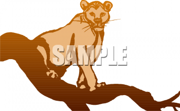 Lion Clipart