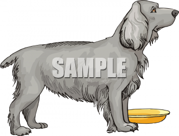 Pet Clipart