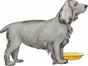 Pet Clipart