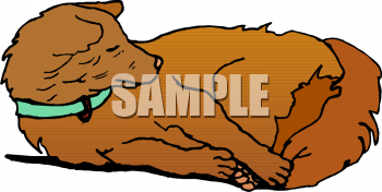 Pet Clipart