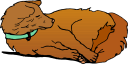 Pet Clipart