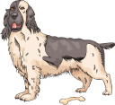 Pet Clipart